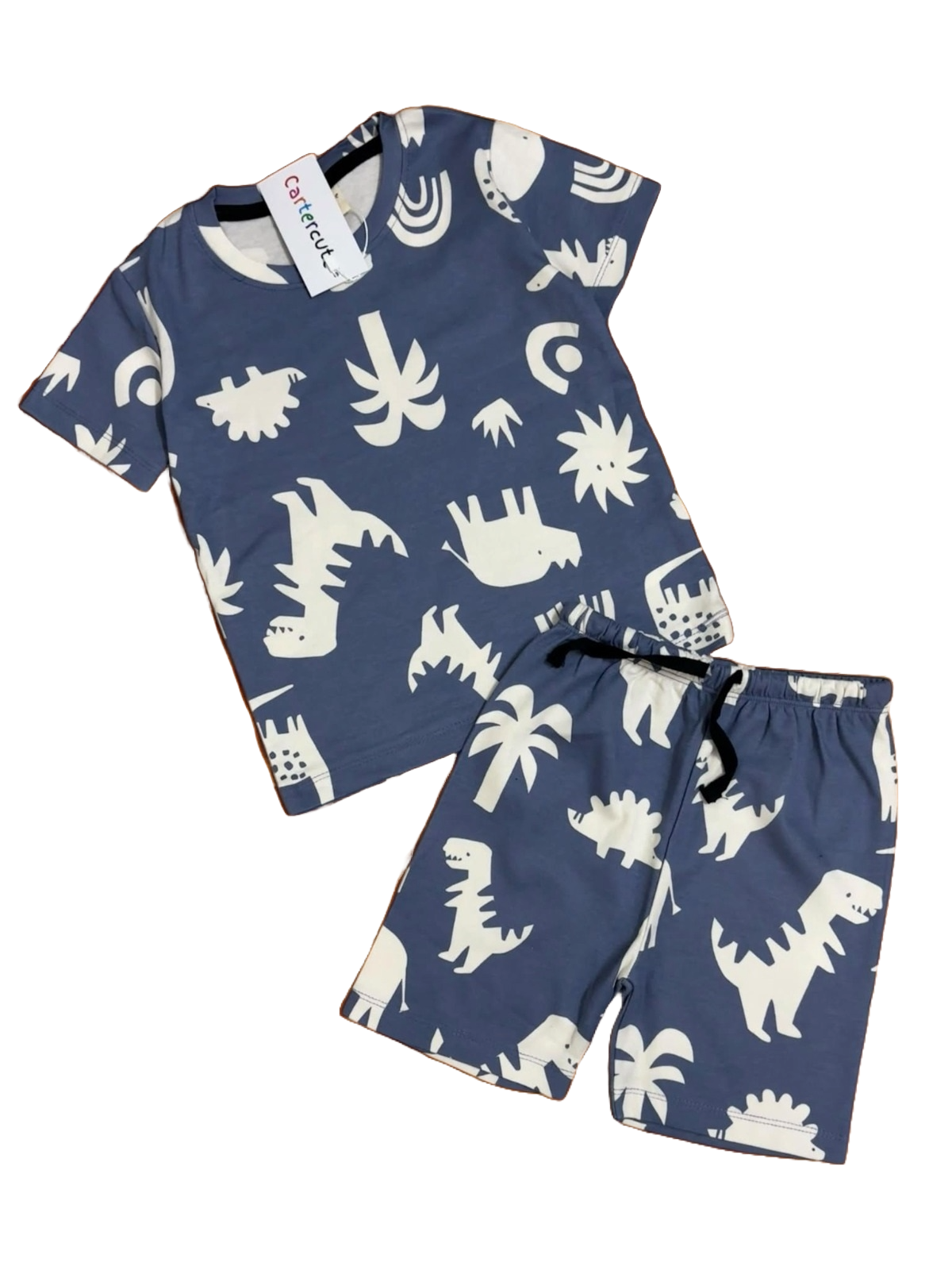 T-Rex Dino T-Shirt and Shorts Set