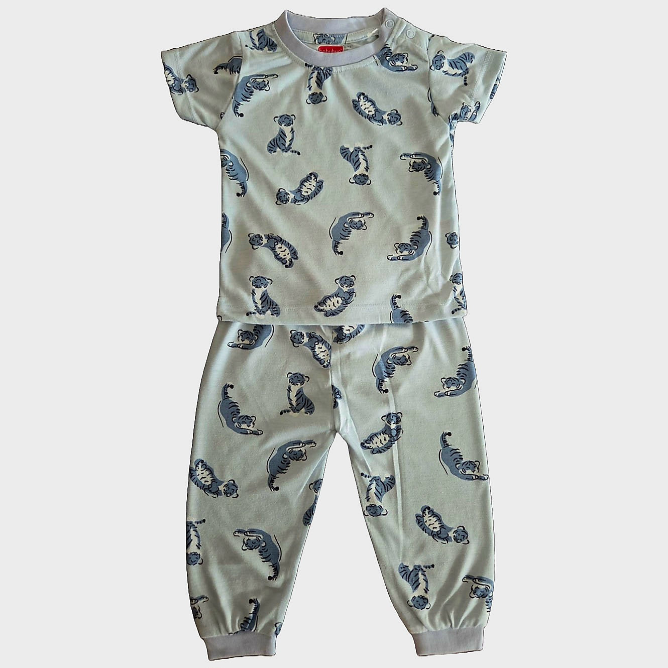 Tiger Print T-Shirt and Pants Set