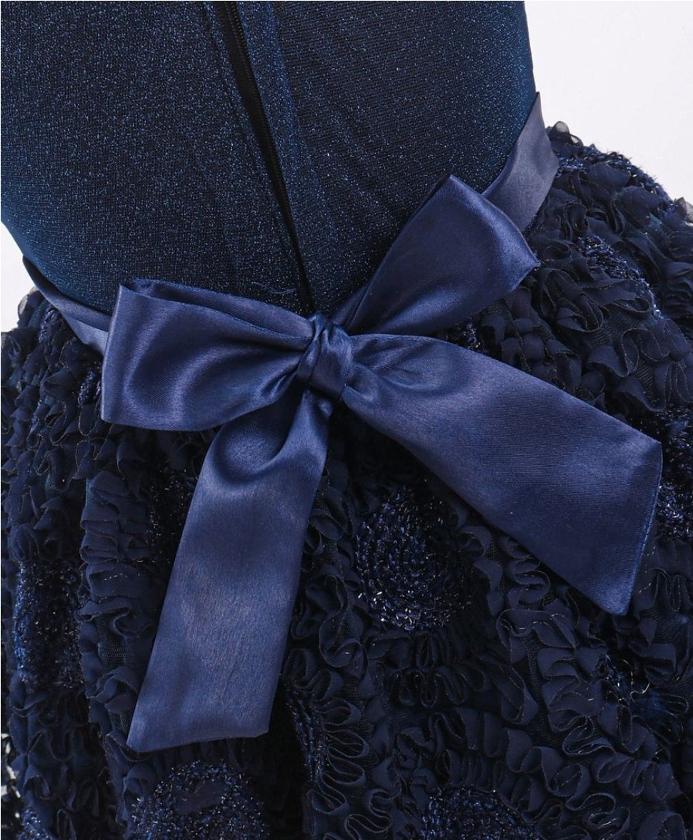 Mesh Sleeveless Embroidery Frock - Navy