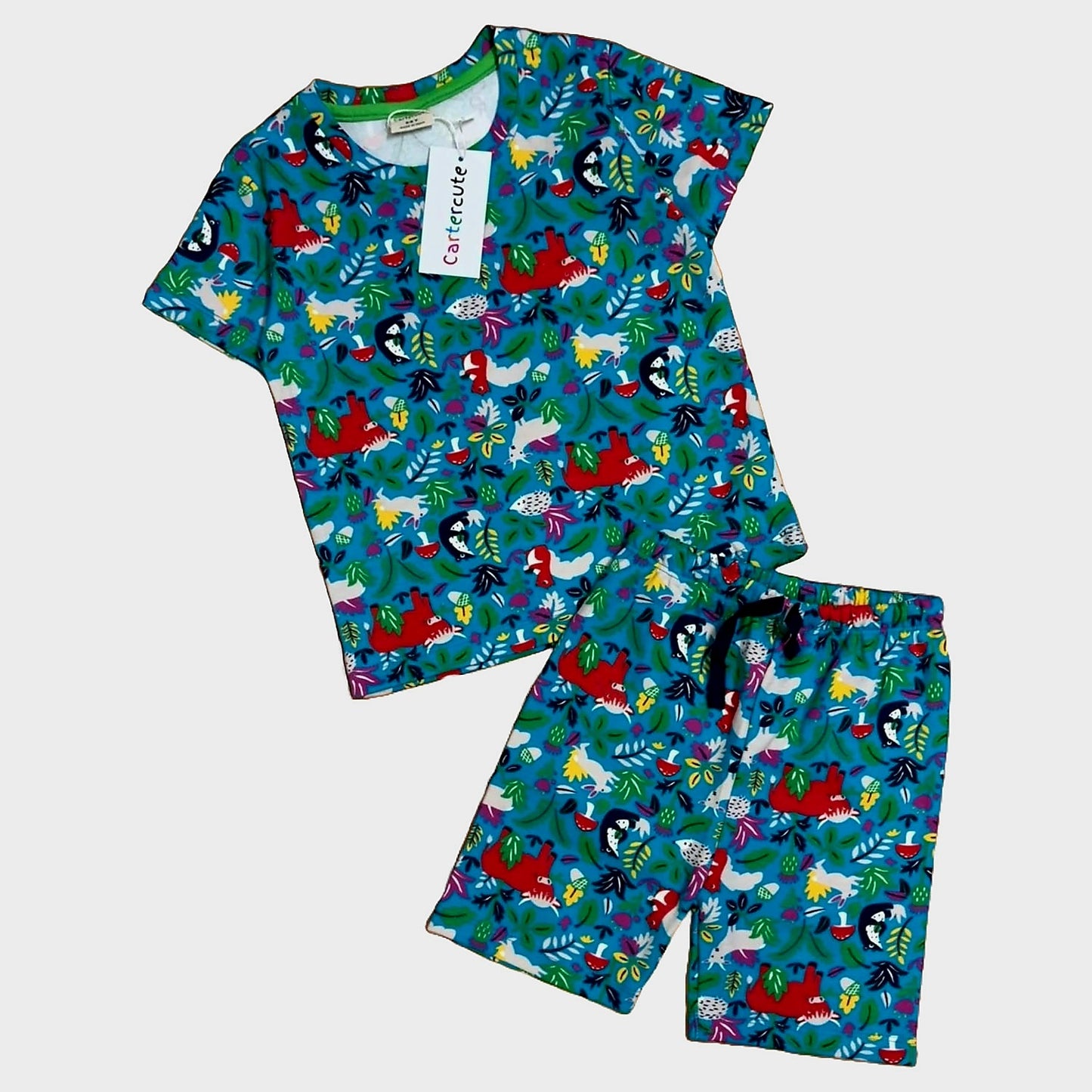 Forest Friends Adventure - T-Shirt and Shorts Set